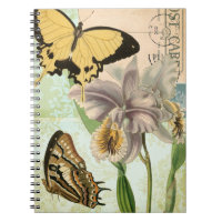 Vintage Postcard with Butterflies and Flowers