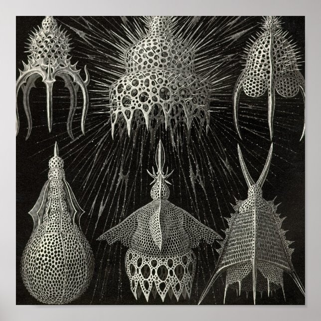 Vintage Poster (Front)