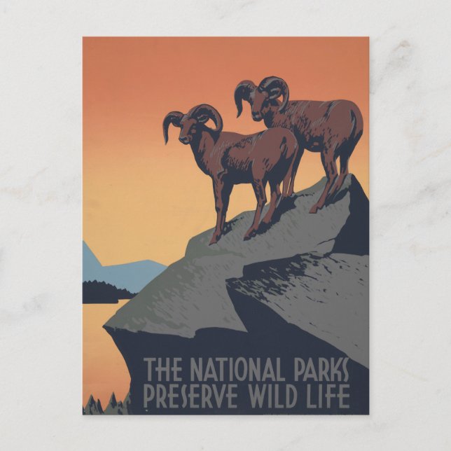 Vintage Poster Promoting Travel To National Parks Postcard (Front)
