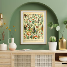 Vintage Poster Wild Flowers Book Page