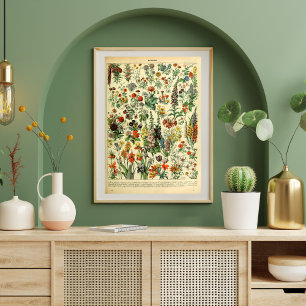 Vintage Poster Wild Flowers Book Page