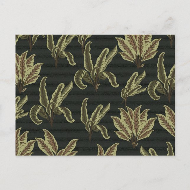 Vintage Potted Plants Postcard (Front)