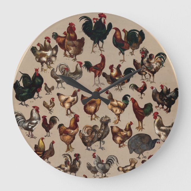 Vintage Poultry Breeds Pattern   Large Clock (Front)