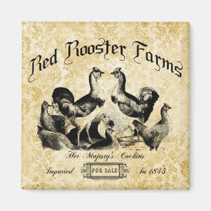 Vintage Poultry Farm Advertisement  Magnet