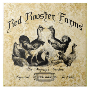 Vintage Poultry Farm Advertisement  Tile