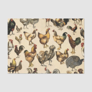 Vintage Poultry of the World Chicken Breed Art Tissue Paper