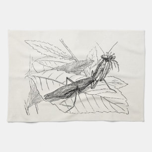Vintage Praying Mantis Insect Template Tea Towel