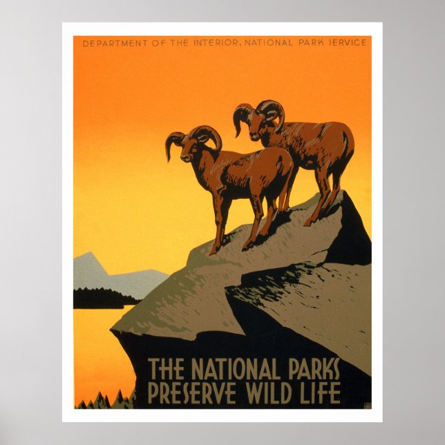 VIntage Preserve Wildlife Poster (Front)