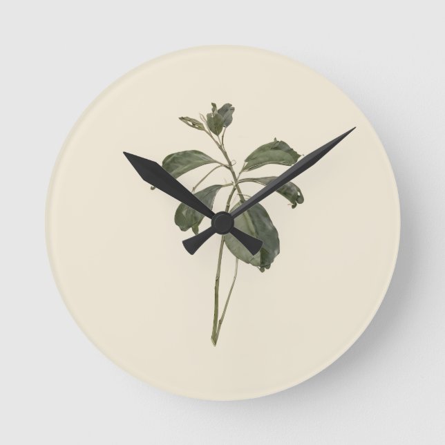 Vintage Pressed Botanical Green Leaf Specimen⁠ Round Clock (Front)