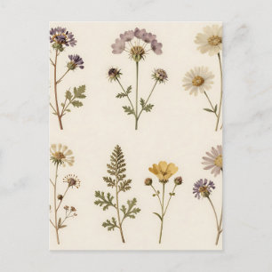 Vintage Pressed Wildflower Botanical Pattern Postcard