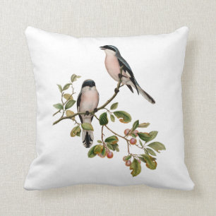Vintage Pretty Birds on a Branch Cushion