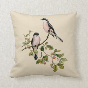 Vintage Pretty Birds on Beige Cushion