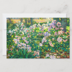 Vintage pretty flowers Windflowers illustration