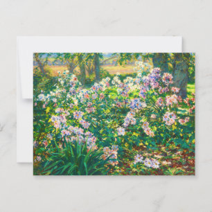 Vintage pretty flowers Windflowers illustration Postcard