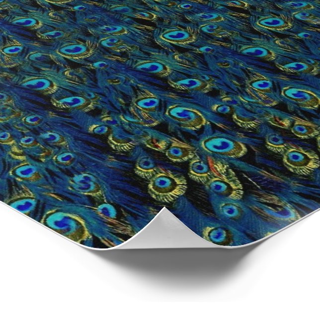 Vintage Pretty Peacock Bird Feathers Wallpaper Poster (Corner)