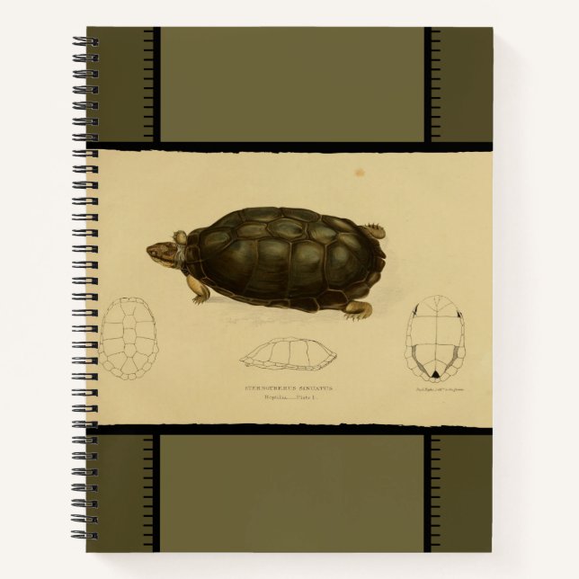 Vintage Print of Turtle Notebook (Front)