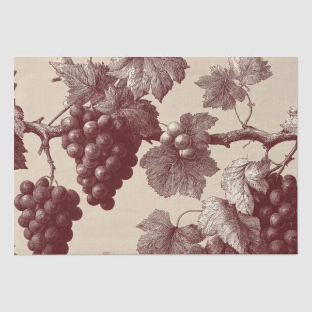 Vintage Print of Vineyard Grapes Tissue Paper (Front)