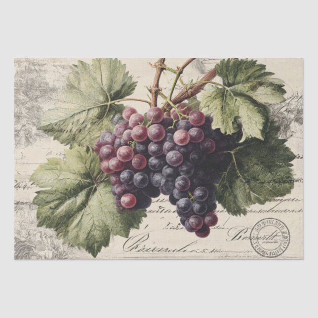 Vintage Print of Vineyard Grapes Tissue Paper (Front)