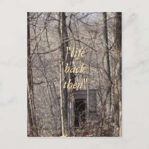 Vintage Privy in the woods-any occasion Postcard