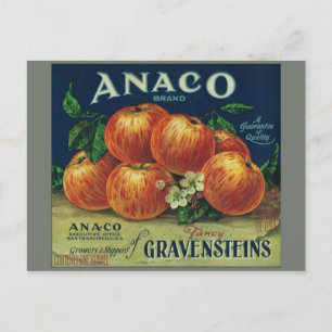 Vintage Produce Crate Label Postcard
