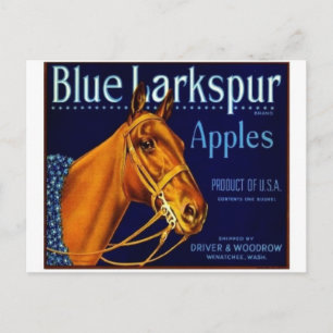 Vintage Produce Crate Label Postcard