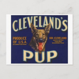 Vintage Produce Crate Label Postcard