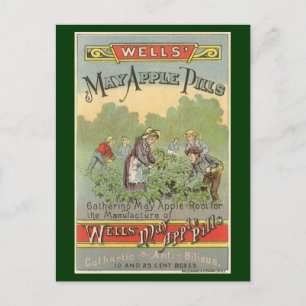 Vintage Product Label Art, Wells May Apple Pills Postcard