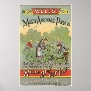 Vintage Product Label Art, Wells May Apple Pills Poster