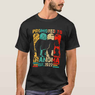 Vintage Promoted To Gramma 2022 New Grandma Mother T-Shirt