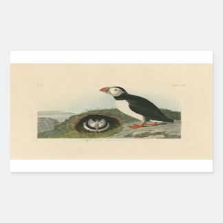 Vintage Puffin Illustration Rectangular Sticker