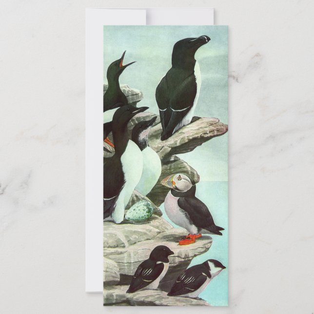 Vintage Puffins and Aquatic Birds by Louis Fuertes (Front)