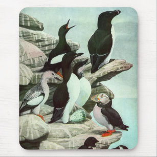 Vintage Puffins and Aquatic Birds by Louis Fuertes Mouse Mat