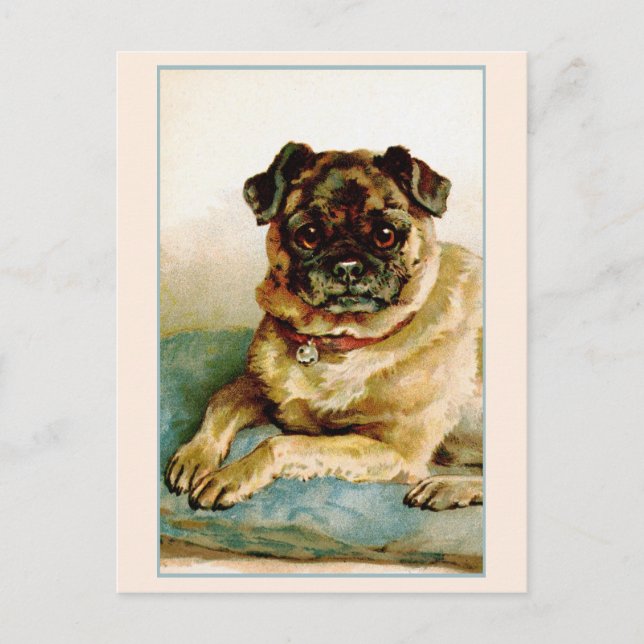 Vintage Pug Love Postcard (Front)