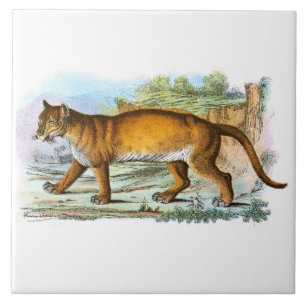 Vintage Puma Animal Illustration Tile