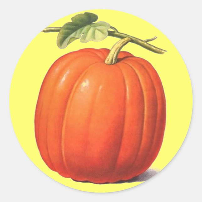 Vintage Pumpkin Classic Round Sticker (Front)