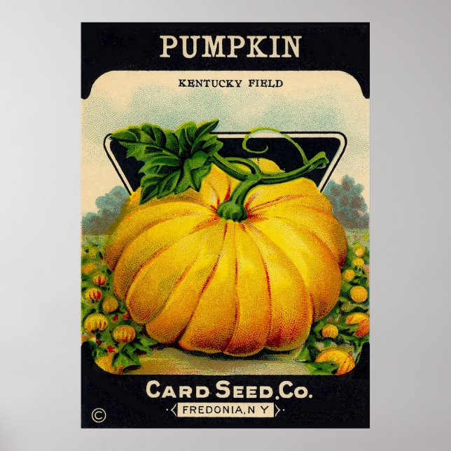 Vintage Pumpkin Seed Packet - Print (Front)