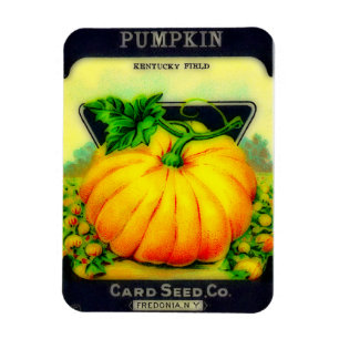 Vintage Pumpkin Seeds Packet - Magnet