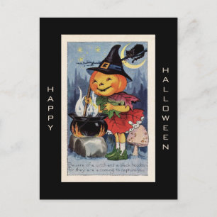 Vintage Pumpkin Witch Happy Halloween Postcard