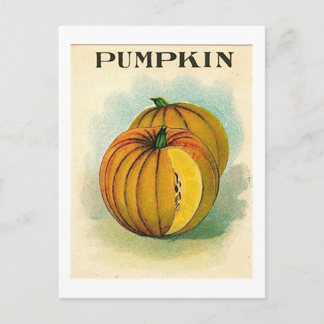 vintage pumpking seed packet postcard (Front)
