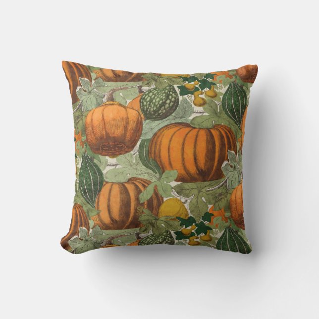 Vintage Pumpkins and Gourds Cushion (Front)