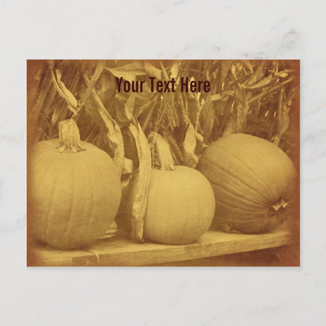 Vintage Pumpkins Cornstalks Customisable Postcard (Front)