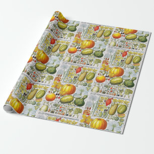 Vintage Pumpkins Gourds Botanical Book Plate #52 Wrapping Paper