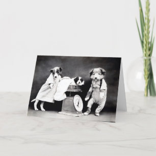 Vintage Puppies and Kittens Note Cards
