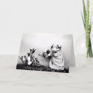 Vintage Puppies and Kittens Note Cards