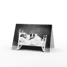 Vintage Puppies and Kittens Note Cards