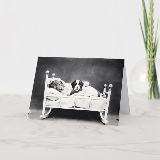 Vintage Puppies and Kittens Note Cards (Front)