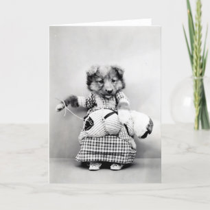 Vintage Puppies and Kittens Note Cards