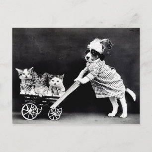 Vintage Puppies and Kittens Postcard