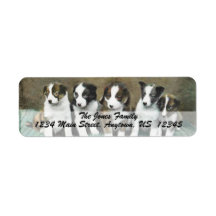 VINTAGE PUPPIES Custom Address Labels
