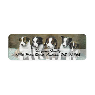 VINTAGE PUPPIES Custom Address Labels